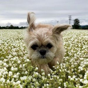 Meet your Posher, Robyn